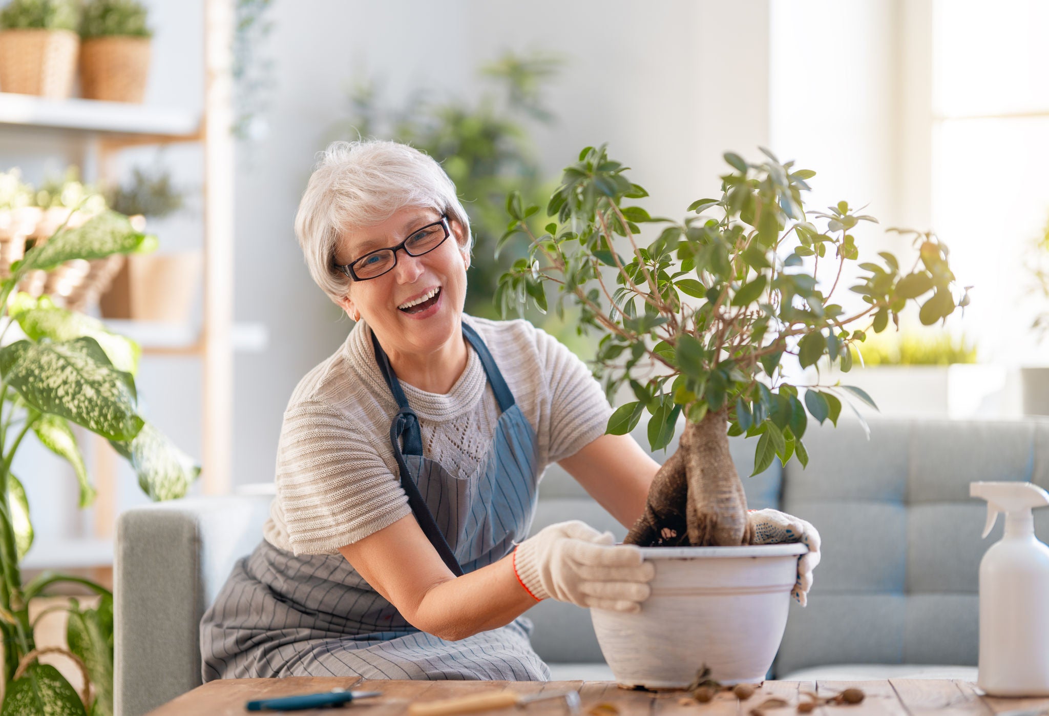 Woman caring for plants at home in spring day.