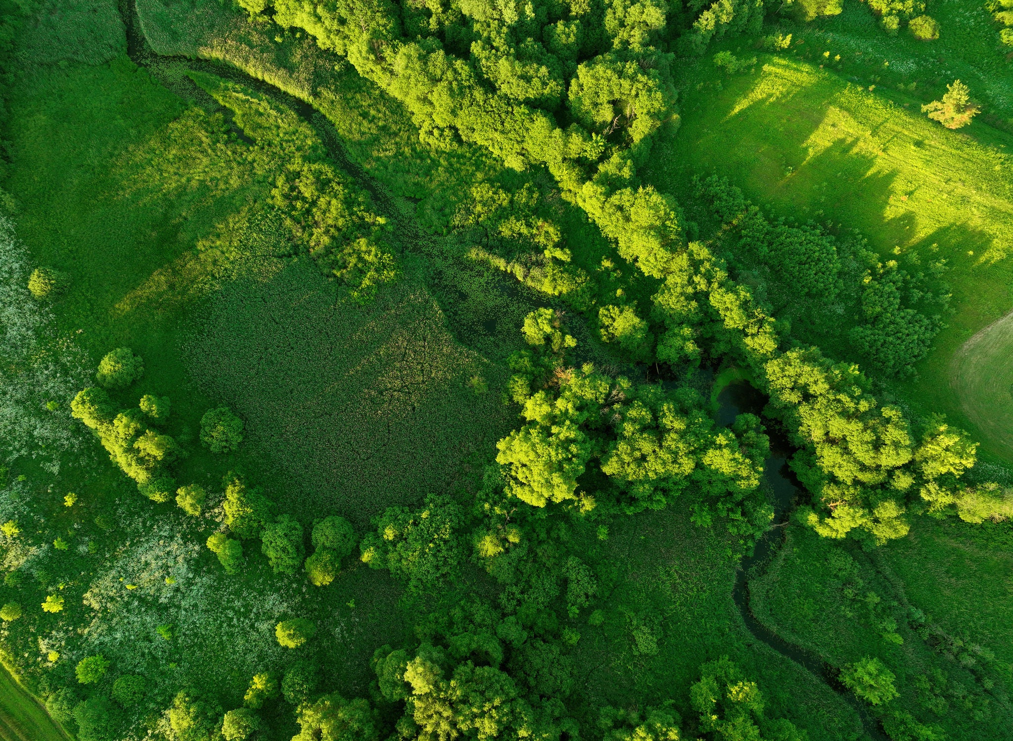 Zigzag River in wild. Water supply. Small river in field and forest in swamp, Aerial view. Wildlife Refuge Wetland Restoration. Green Nature Scenery. River in Wildlife. Freshwater Lakes and Ecosystem.