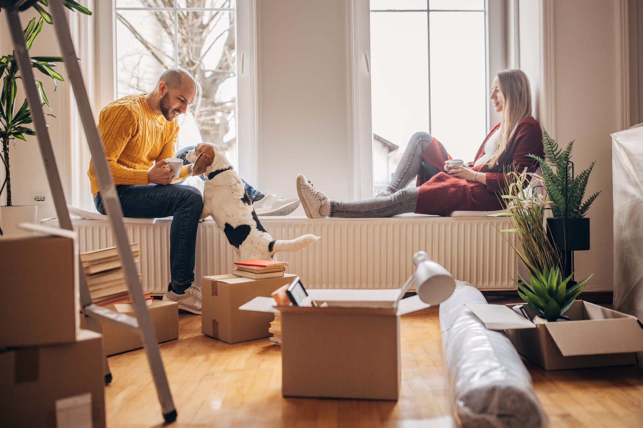 Man and woman, young couple with their pet dog in their new home, sitting by the window..