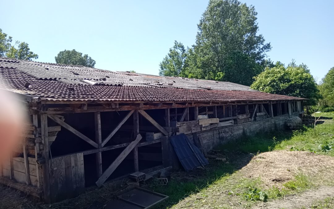 Oglas – Dvorišna zgrada i zemljište Bajinci, Srbac